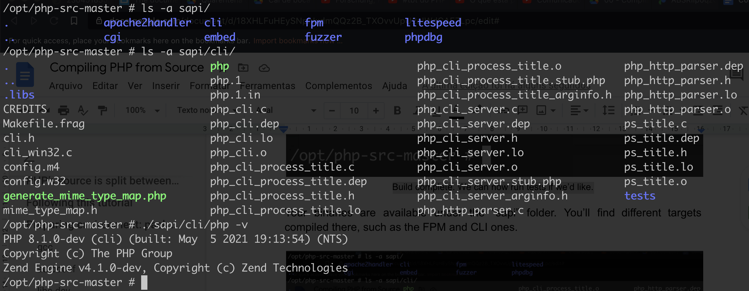 Binários dentro da pasta "sapi/". A imagem mostra a execução do comando "php -v" utilizando o binário CLI.
