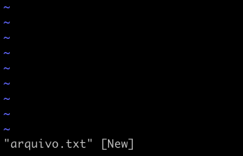 Um arquivo novo chamado "arquivo.txt" aberto com o editor de textos VIM. O símbolo "~" significa ausência de conteúdo, não é uma linha vazia.