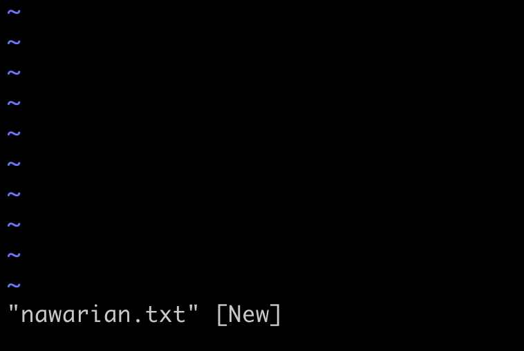 Programa VIM com o arquivo "nawarian.txt" aberto. A palavra [New] na barra de status indica que o arquivo não existia antes.