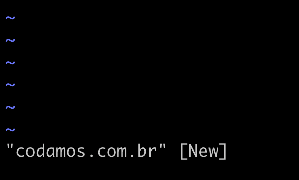 Ao pressionar enter, um novo arquivo chamado codamos.com.br deverá aparecer em seu buffer no VIM.