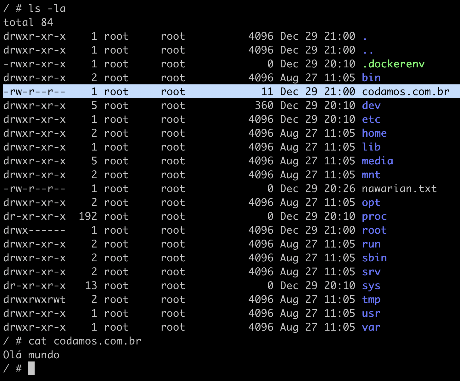 O comando ls -la mostra o arquivo codamos.com.br e seus 11 bytes. Enquanto o comando cat codamos.com.br mostra seu conteúdo "Olá mundo".