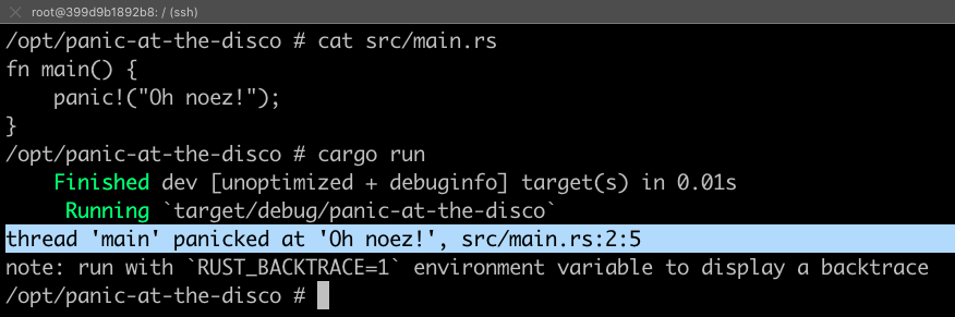 Exemplo de interrupção do programa utilizando a macro panic! do Rust.