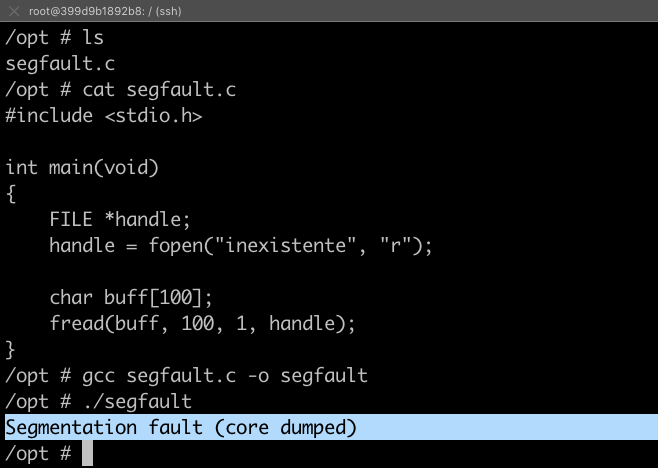 O ponteiro FILE * é nulo e ao chamar fread() com este ponteiro nulo, a aplicação gera um Segmentation fault.